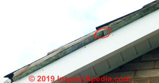 Painted but worn fiber cement roof, possibly roofed-over with other materials (C) InspectApedia.com Lindsay
