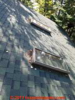 Debris accumulated on this roof at its skylights should be removed (C) Daniel Friedman