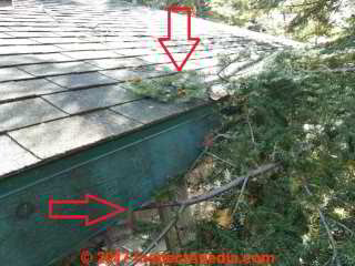Tree limbs rubbing on a roof surface, Two Harbors MN (C) Daniel Friedman