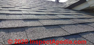 Shingle blister rash on Atlas Storm Master roofing (C) InspectAPedia.com Mish.