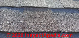 Shingle blister rash on Atlas Storm Master roofing (C) InspectAPedia.com Mish.
