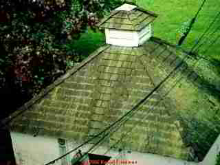 Wood shingle roof (C) Daniel Friedman