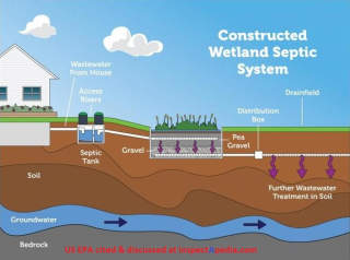 Constructed Wetlands or Natural septic system US EPA at InspectApedia.com
