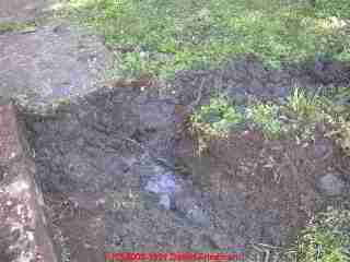 PHOTO of sewage contamination leaking to a yard surface from a broken sewer pipe