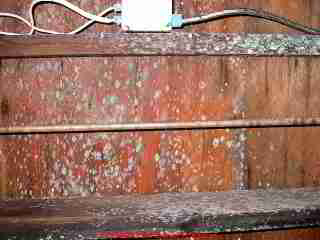 Photograph of thick green mold on subfloor over a crawl space