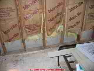Photograph: Water stains on drywall suggest this fiberglass insulation may be mold-contaminated.
Mold contamination with Aspergillus sp. was confirmed by special sampling and lab methods.