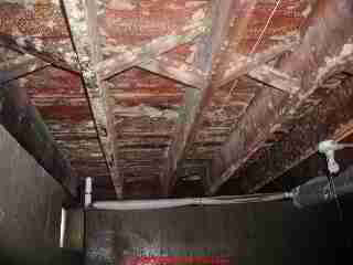 Photograph of moldy basement ceiling before cleaning.