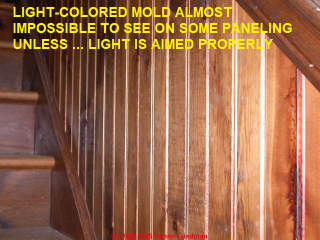 white mold on pine paneling is hard to see unless illuminaged correctly