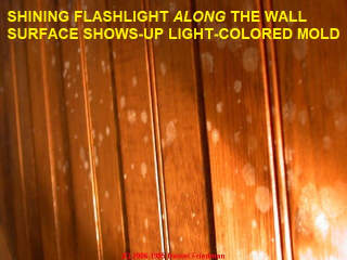 Example of using light to see white mold on paneling