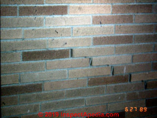 Thermal expansion cracks in a brick veneer, Poughkeepsie NY Jewish Community Center (C) Daniel Friedman at InspectApedia.com