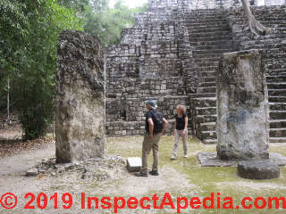 Stone pyramids and steles at Calakmul, Mexico (C) Danie Friedman at InspectApedia.com