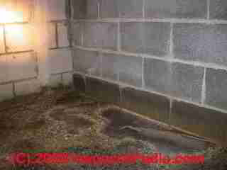 Leak at floor slab to wall opening (C) Daniel Friedman