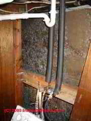 Moldy Homasote insulating board sheathing © Daniel Friedman at InspectApedia.com
