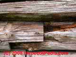 Rot and insect damage at joint in log wall © Daniel Friedman at InspectApedia.com