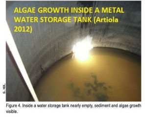 Photo of algae growth in a water storage tank, Artiola 2013, cited & discussed at InspectApedia.com