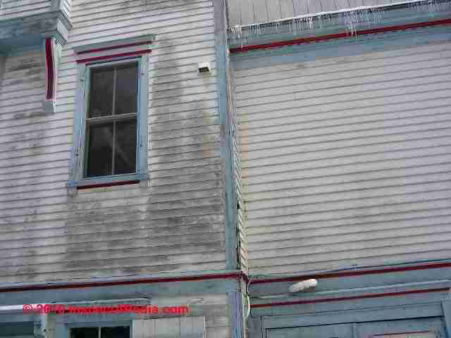 Algae growth on painted wood siding (C) Daniel Friedman
