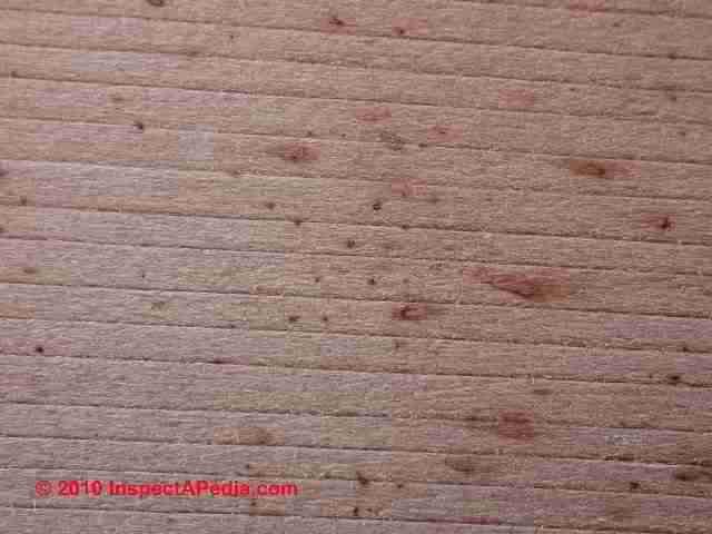 Stained clapboards (C) Daniel Friedman