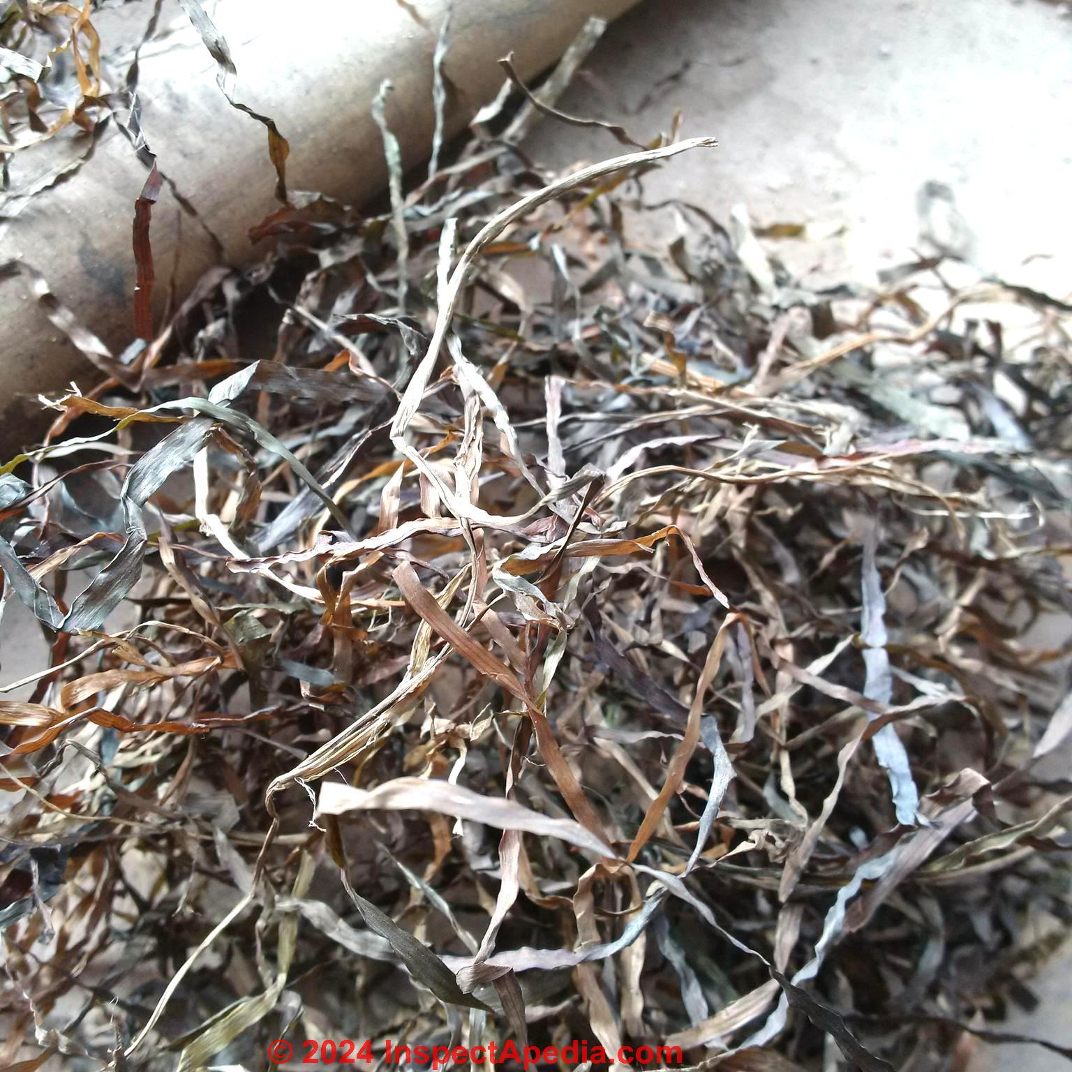 seasgrass insulation from Building Blanket brand in 1934 Edinburgh Scotland (C) InspectApedia.com Luke