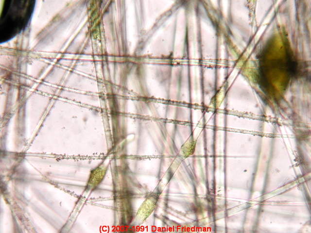 Lab photo of building insulation