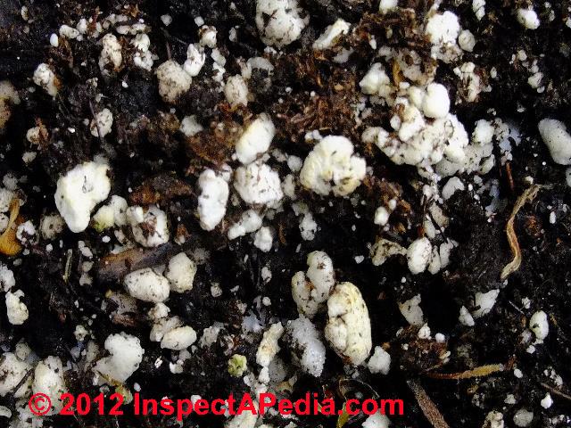 Perlite in planting soil mix &copy; Daniel Friedman