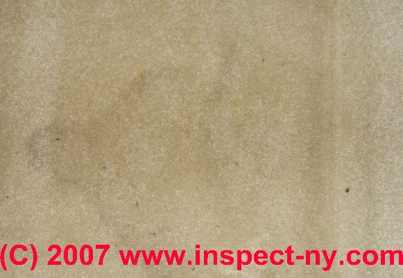Ceiling leak stains (C) Daniel Friedman