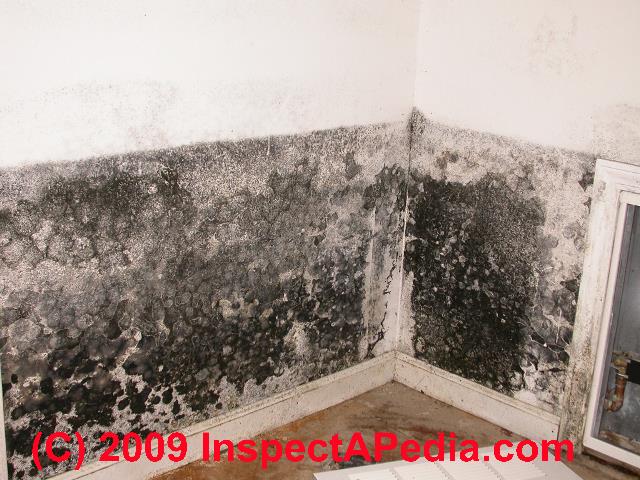 Mold growth pattern on drywall &copy; Daniel Friedman