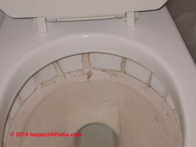 Toilet bowl algae or mold growth (C) Daniel Friedman