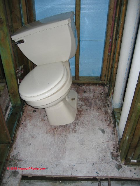 Loose toilet causes injury (C) Daniel Friedman