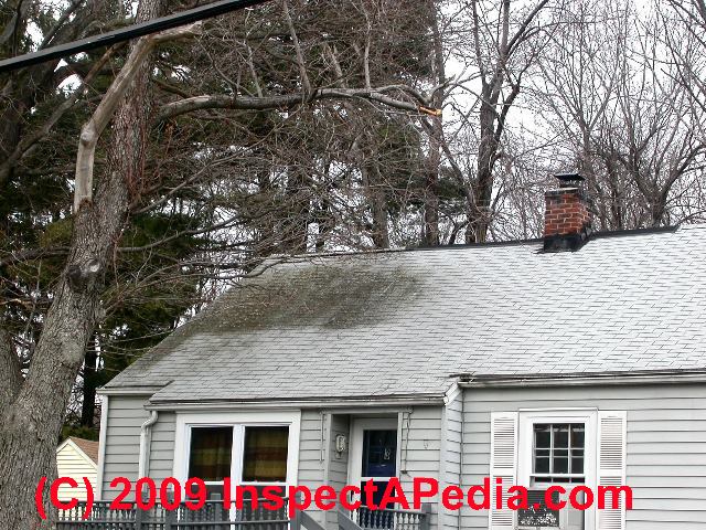 Roof stain or lichens or moss caused by trees (C) Daniel Friedman