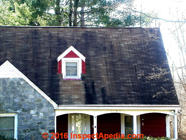 Extractive bleeding roof stains (C) Daniel Friedman
