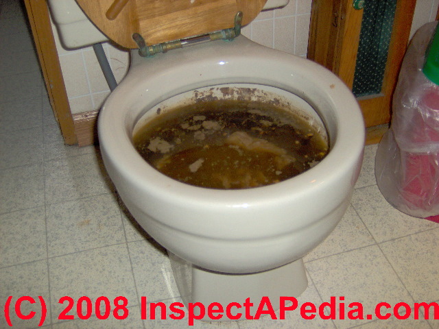 Sewage backup into a toilet - diagnosis and repair  © Daniel Friedman at InspectApedia.com