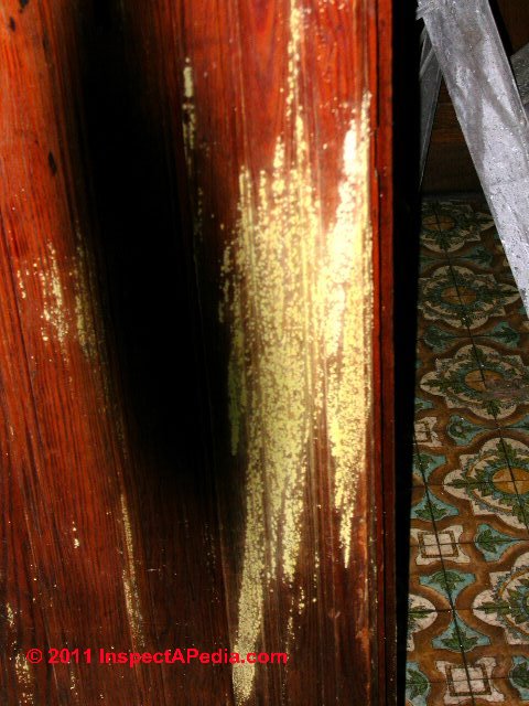 Meruliporia incrassata damage to a building © Daniel Friedman at InspectApedia.com