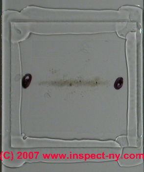 High density mold spores (C) Daniel Friedman