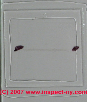 Low density mold spores (C) Daniel Friedman