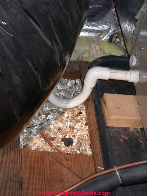 Vermiculite insulation photograph for identification (C) Daniel Friedman