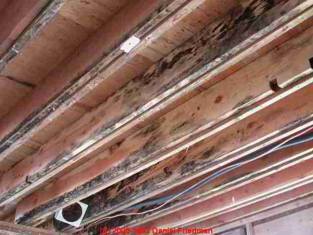 Photograph: typical cosmetic bluestain mold on new framing lumber, floor joists - &copy; Daniel Friedman