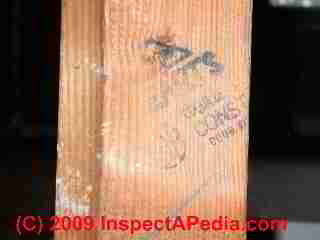Stud stamp in panelized construction (C) Daniel Friedman