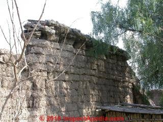 Remains of an adobe mud brick wall, el Charco del Ingenio, San Miguel de Allende, Guanajuato, Mexico (C) Daniel Friedman