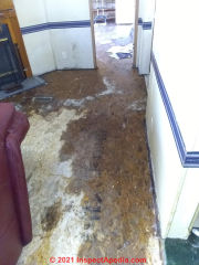 Mobile home water heater Leak caused extensive mold contamination & water damage (C) InspectApedia.com Lacey