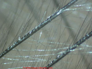 Cassuary feather examined under the microscope (C) Daniel Friedman InspectApedia.com 
