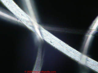 Dacron fibres in polarized light (C) Daniel Friedman at InspectApedia.com