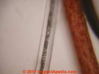 Human hair under the microscope (C) Daniel Friedman InspectApedia.com