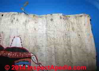 Papyrus painting with water damage for restorastion advice (C) InspectAPedia SB