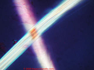 Viscose rayon fibers examined under the microscope (C) Daniel Friedman at InspectApedia.com