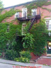 Outdoor fire escape unsafe, blocke by heavy growth of vines (C) Daniel Friedman at InspectApedia.com