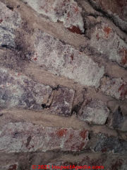 White deposits on old brick - effloresence? (C) InspectApedia.com Paula S