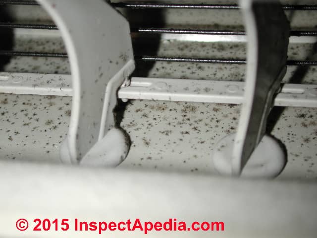 Can Black Mold Grow In Air Conditioners