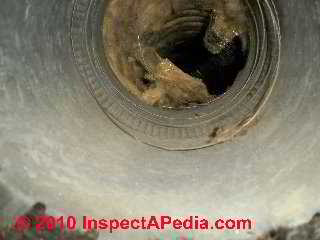 Water and rodents in air duct © D Friedman at InspectApedia.com