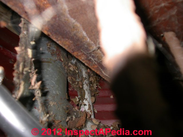 Evidence of rodents around and in HVAC air ducts (C) Daniel Friedman