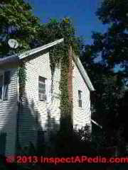 Vines growing on  building walls and chimney are unsafe (C) Daniel Friedman